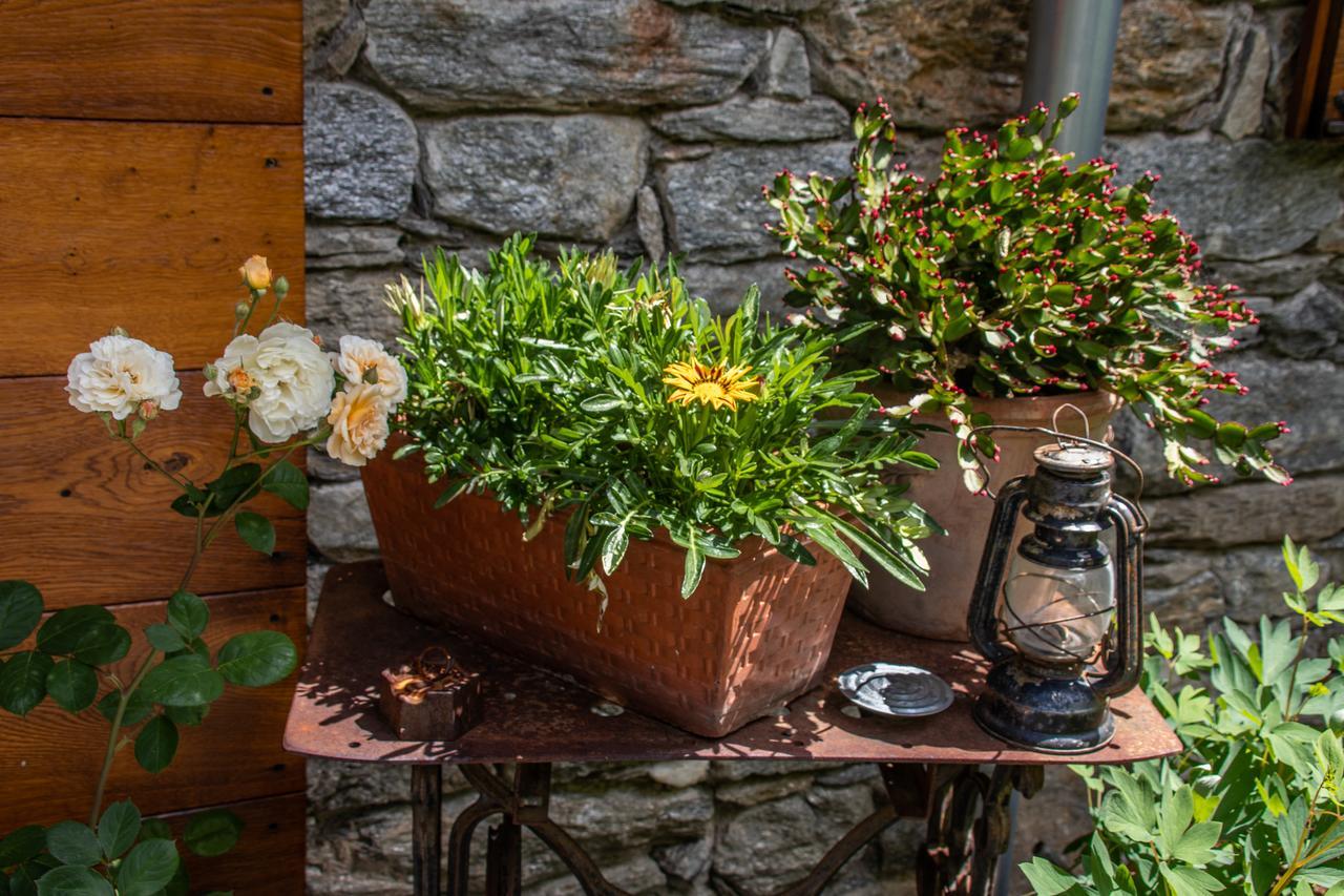 Agriturismo Treterre Pianello Del Lario Kültér fotó
